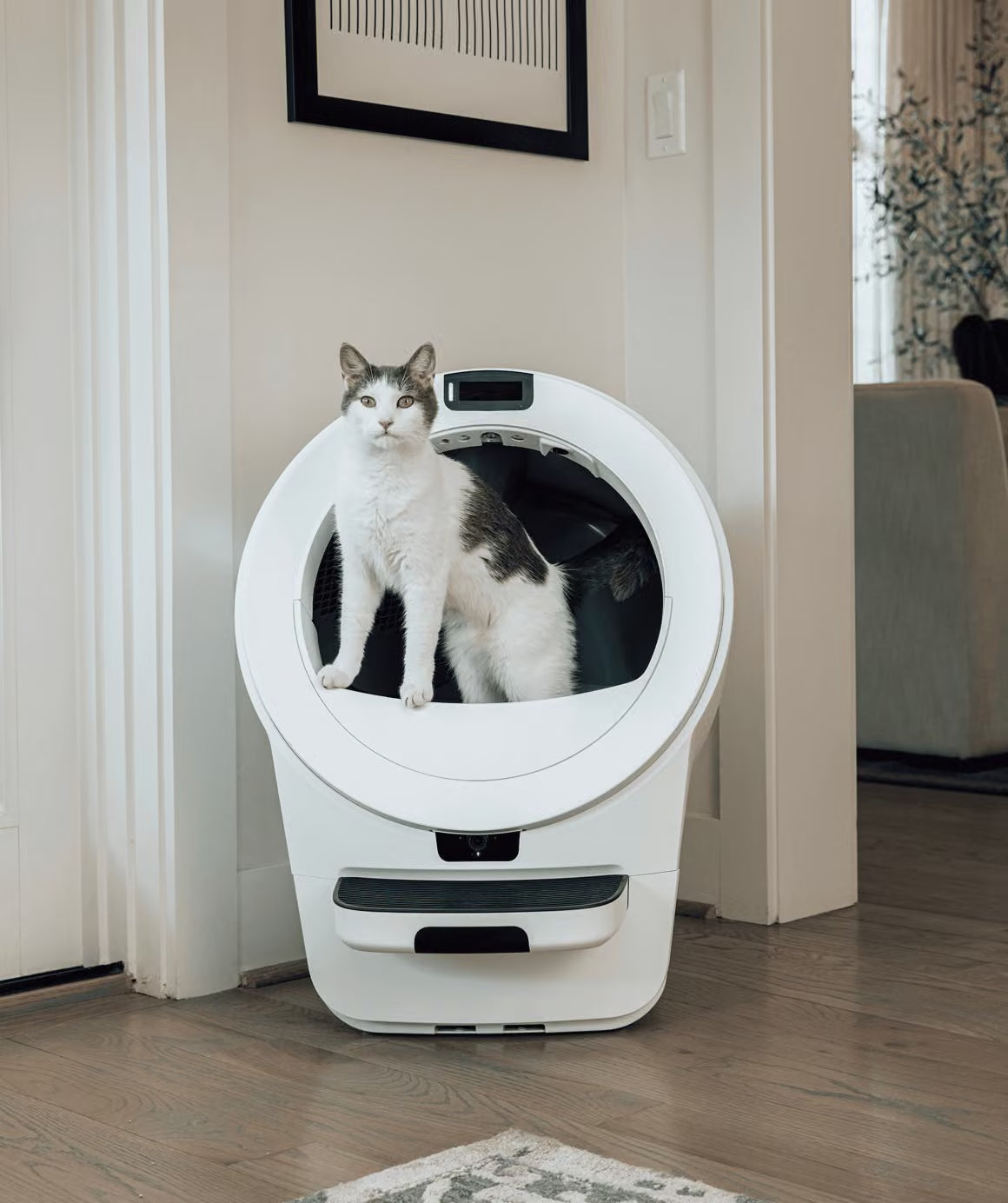 el-gato 5 pro