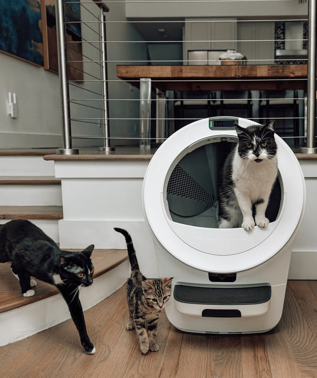 el-gato 5 pro